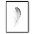 Feather Canvas No2 Print