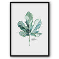 Green Maple Leaf Watercolour Canvas Print
