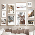House In Winter Forest Canvas Print