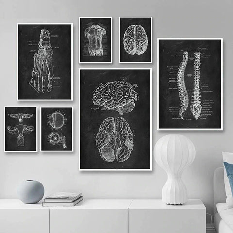 front-muscles-chalkboard-illustration-canvas-print