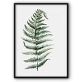 Green Leaf Plant No4 Canvas Print