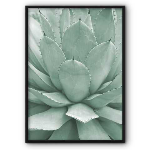 Light Green Succulent Plant Canvas Print