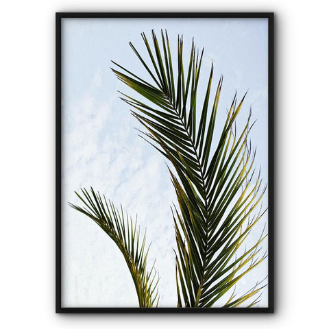 Palm Branch In The Sky Canvas Print