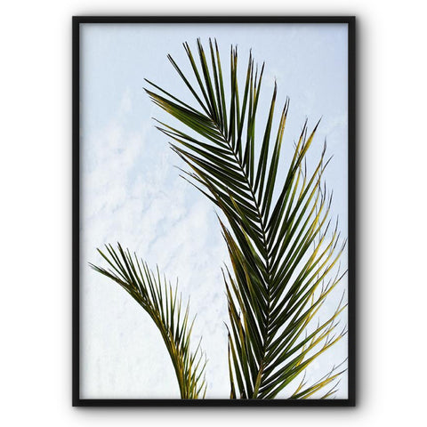 palm-branch-in-the-sky-canvas-print
