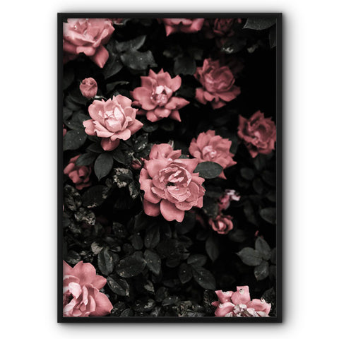 rose-flowers-canvas-print