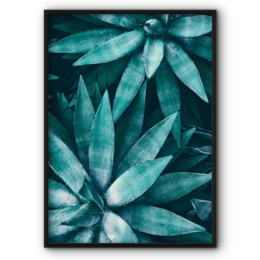 Green Tropical Succulent Plant Canvas Print Wall Art Poster No3 Nature ...