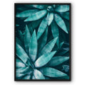Green Tropical Succulent Plant Canvas Print
