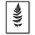 Black And White Leaf Plant Canvas Print