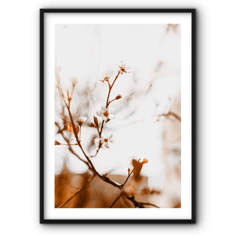warm-tones-canvas-print-1