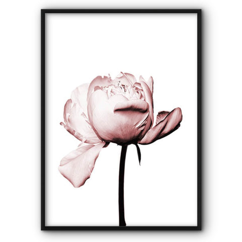 islamic-pink-door-full-set-6-prints