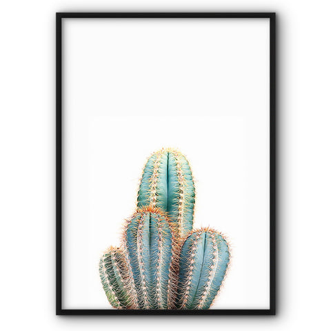 green-spiky-cactus-canvas-print