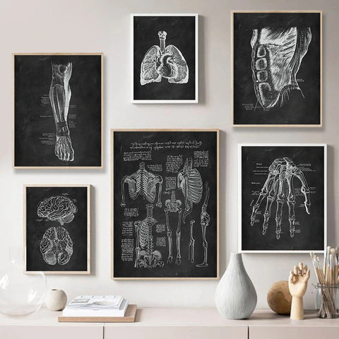 lungs-anatomy-chalkboard-illustration-canvas-print