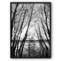 Forest On Water Canvas Print
