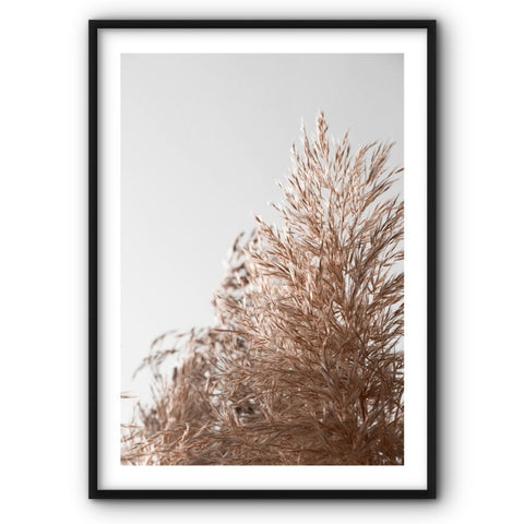 wild-plants-canvas-print