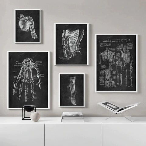 shoulder-muscle-anatomy-chalkboard-illustration-canvas-print