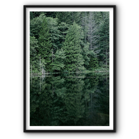 forest-at-the-lake-canvas-print