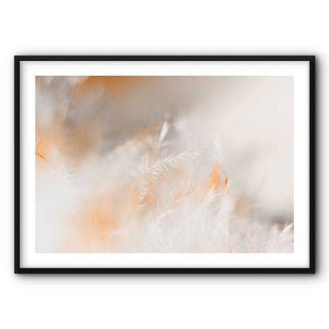Feathers In Warm Tones Canvas Print
