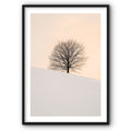 Tree In Warm Tones Canvas Print
