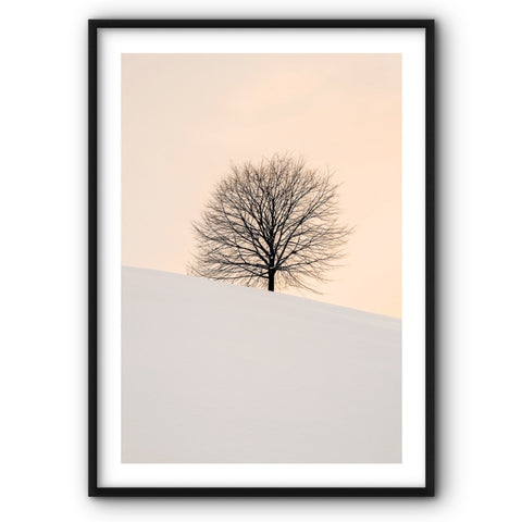 tree-in-warm-tones-canvas-print