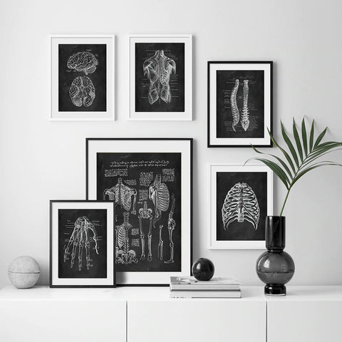 front-muscles-chalkboard-illustration-canvas-print