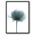 Light As A Feather Flower Canvas Print
