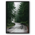 Forest Road Canvas Print