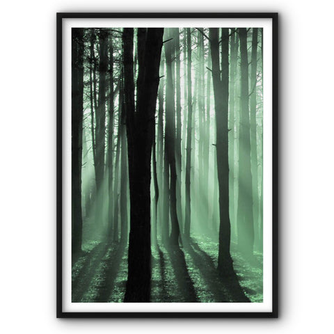green-forest-canvas-print