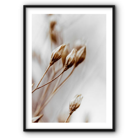 wildflowers-no2-canvas-print
