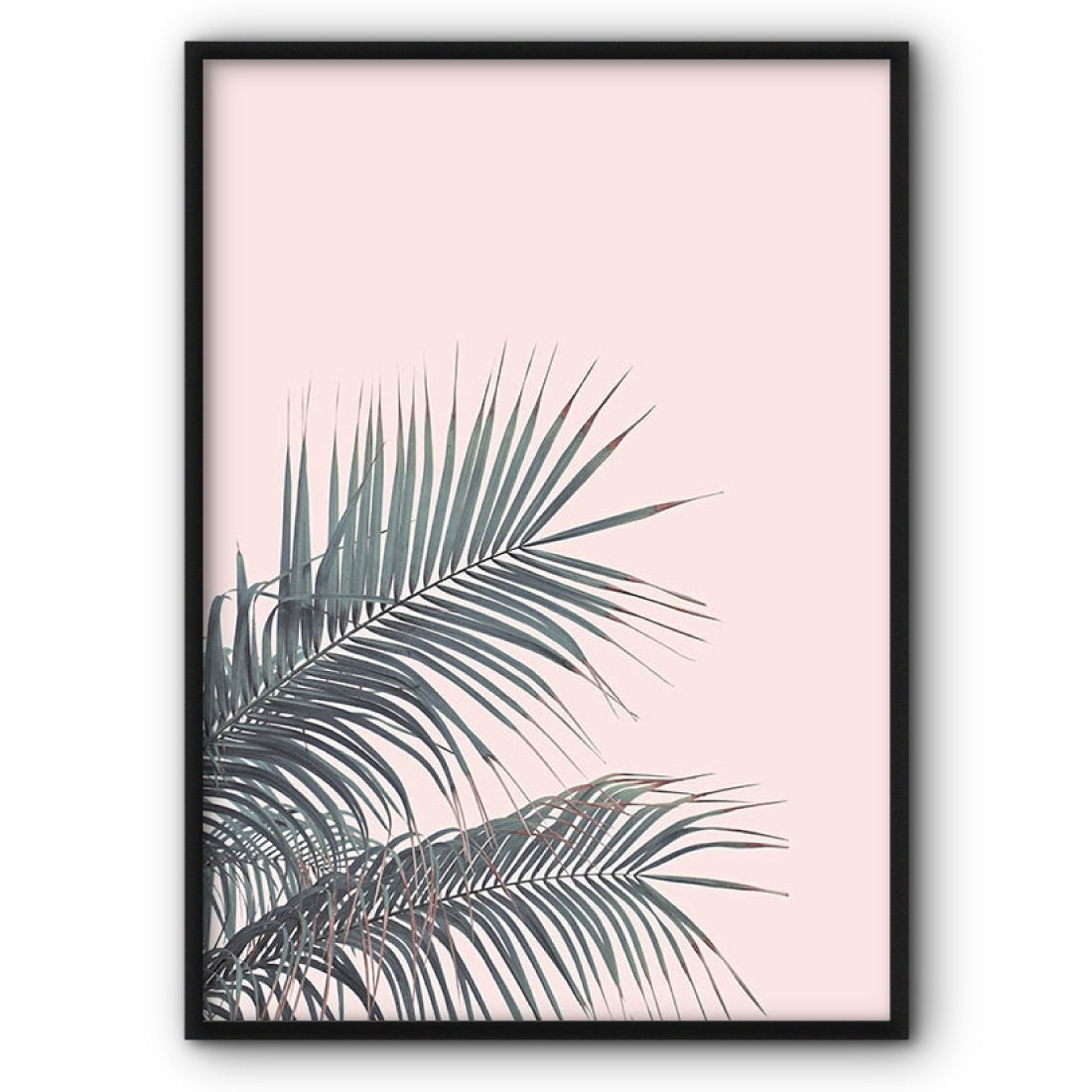 Palm Leaves On Pink Canvas Print Wall Art Poster – The Style Habitat