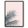 Palm Leaves On Pink Canvas Print