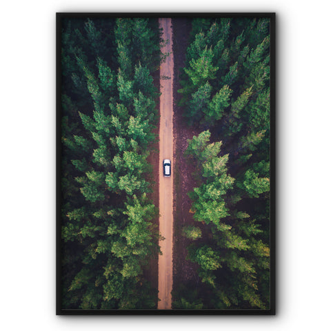driving-in-the-forest-canvas-print