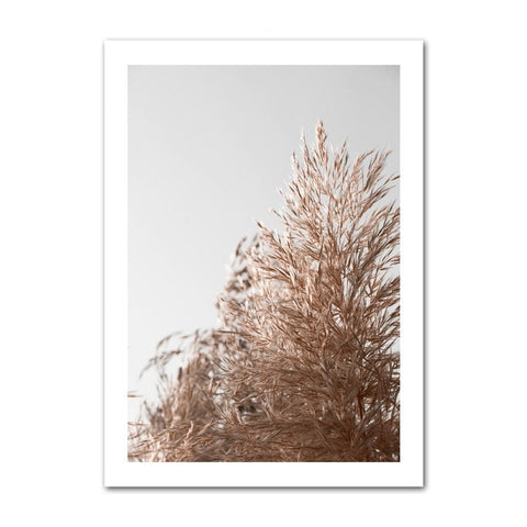 wild-plants-canvas-print