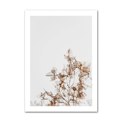 wildflowers-no1-canvas-print-1