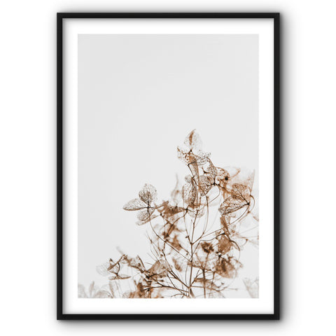 wildflowers-no1-canvas-print-1