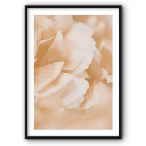 flower-petals-canvas-print