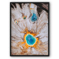 Grand Prismatic Spring In Yellowstone Canvas Print