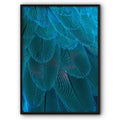 Macaw Parrot Feathers Canvas Print