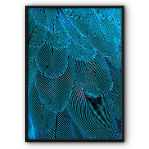 macaw-parrot-feathers-canvas-print