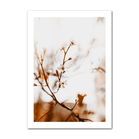 warm-tones-canvas-print-1