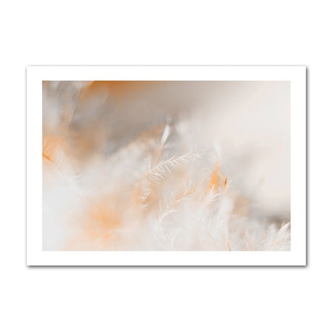Feathers In Warm Tones Canvas Print