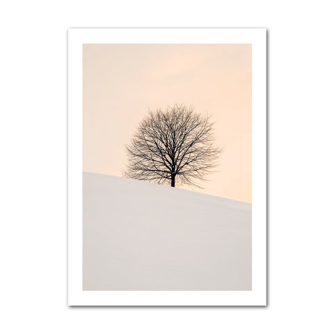tree-in-warm-tones-canvas-print