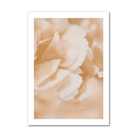 flower-petals-canvas-print