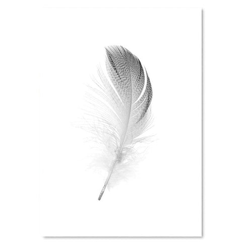 feather-canvas-print-1