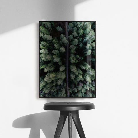 Scandinavian Forest Canvas Print