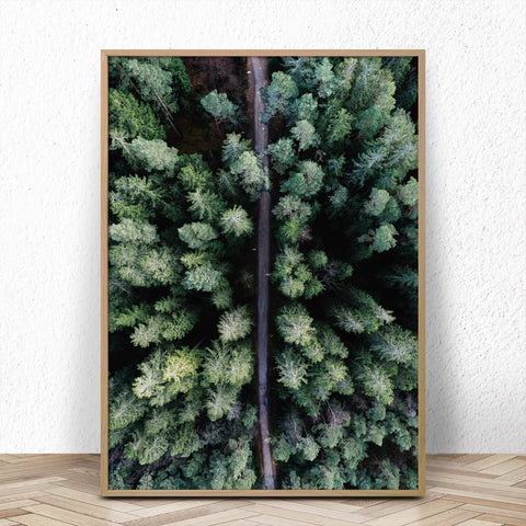 Scandinavian Forest Canvas Print